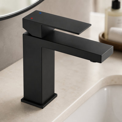 Robinet pour salle de bain à poignée simple avec conduites d'alimentation