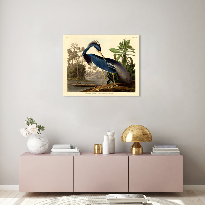 Louisiane héron - Impression sur toile, Toile tendue, H 17 po x l 20 po, Sans cadre