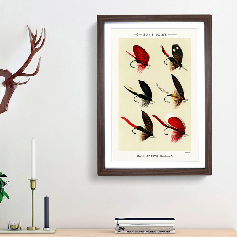 Bass Fishing Flies Versions 3 by Mary Orvis Marbury - Picture Frame Painting Print, Walnut Framed, 48cm H x 36cm W x 2cm D