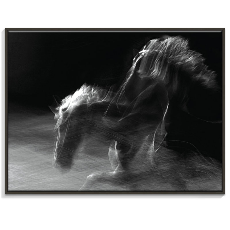 Print on Canvas, Black, 41cm H x 51cm W