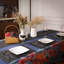 Rogozen Polyester Rectangle Placemat And Coaster Set