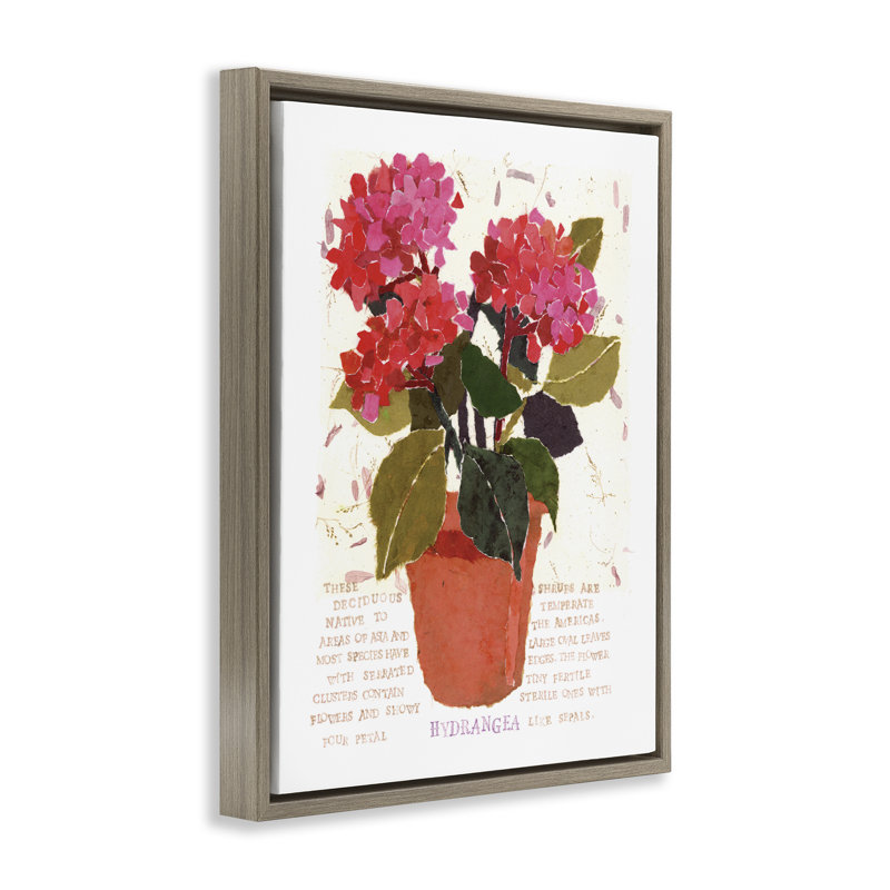 «Bold Red Hydrangea», art mural encadré flottant par Nancy Overton, Cadre flottant orme Montalcino, H 21 po x l 17 po