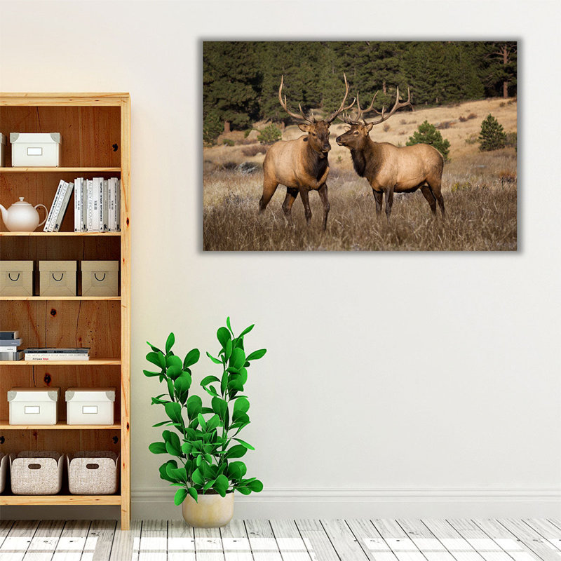 «Two Elks II», reproduction d'art sur toile, H 32 po x l 48 po