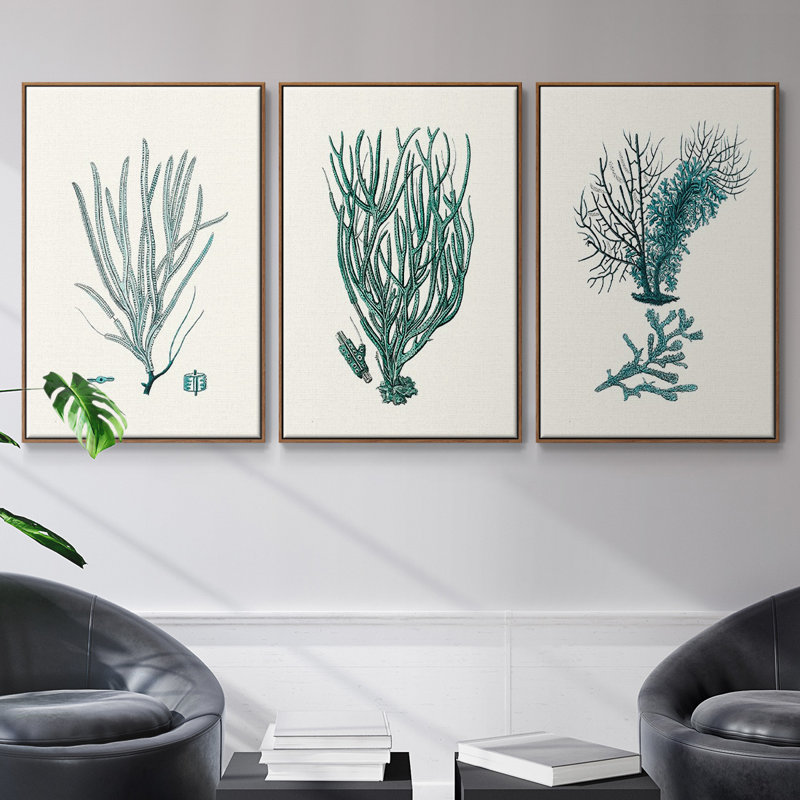 Antique Coastal Coral VI, reproduction sur toile 3 pièces, Cadre noyer, H 36 po x l 72 po x P 2 po