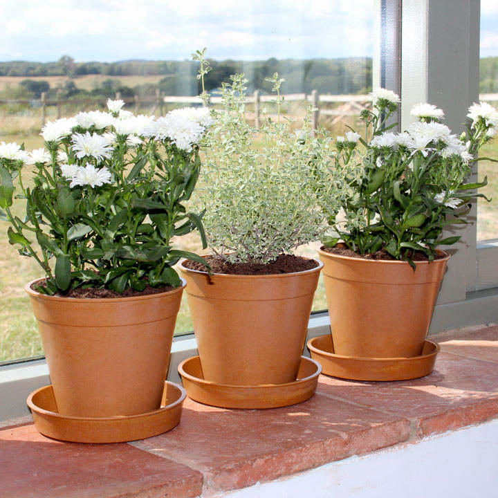 Smead Pot Planter
