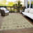Aleighna Area Rug with Non-Slip Backing-1725096060