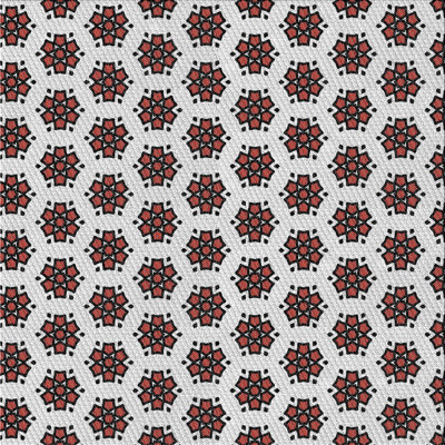 Indoor Rug