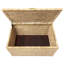 Coffre de rangement Water Hyacinth-1446255274