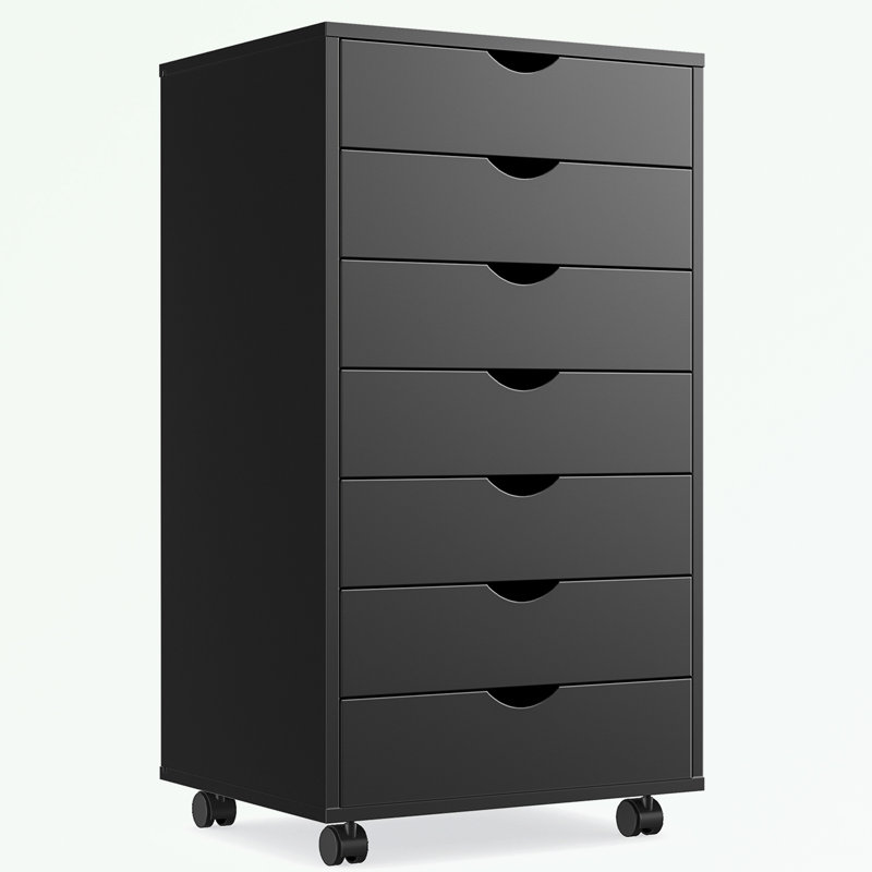 Classeur de rangement Shalisha de 18,74 po de largeur, Noir