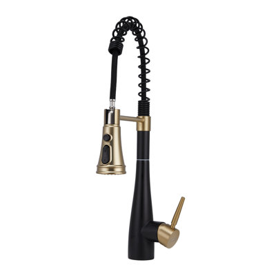 Belfry Kitchen Pull Out Kitchen Faucet