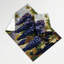 Tapisserie murale «Fruit Grape Concord»-133650126