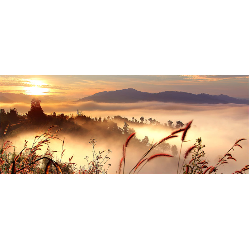 Orange Field - No Frame Print on Glass, 50cm H x 125cm W x 1.4cm D