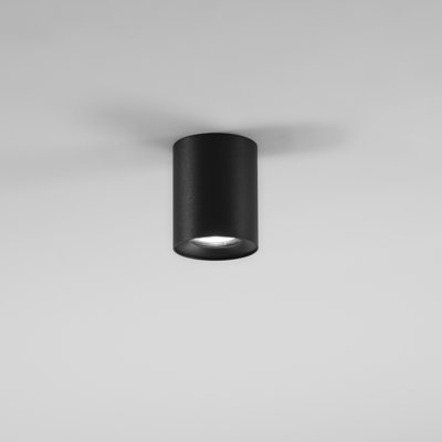 Detcho Flush Mount
