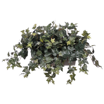 Fausse plante lierre en pot