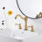 2-handle Bathroom Faucet with Drain Assembly-79721070