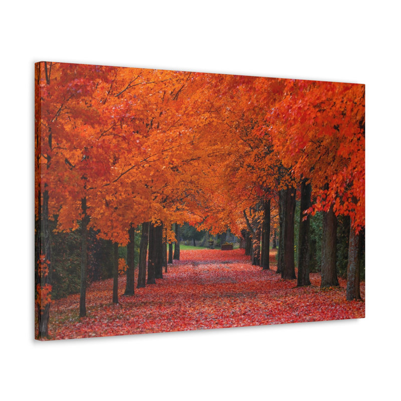No Frame Print on Canvas, 24cm H x 30cm W
