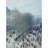 Boulevard des Capucines