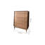 Modern Simple Black Walnut Entrance Cabinet Accent Chest