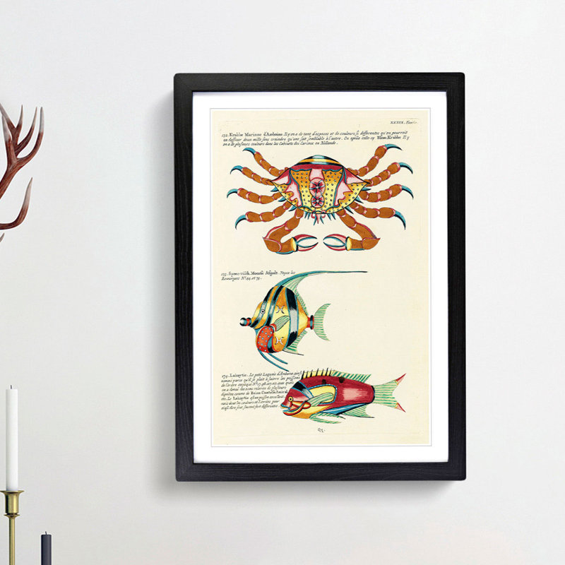 East Indies Fish & Crab Illustrations XXXIX by Louis Renard - Picture Frame Painting Print, Black Framed