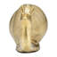 Figurine décorative d'escargot en métal pour décoration intérieure - Statue sculpturale décorative pour tablette, table, bureau ou salon - 7 po, or et métallique