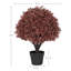Arbre en pot 24 po-51795832
