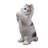 Cat Kitten Statue Praying-Gray-116323234