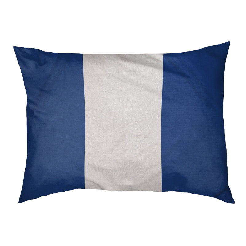 Coussin Designer, Moyen (L 30 po x l 40 po), Bleu royal / blanc / bleu royal