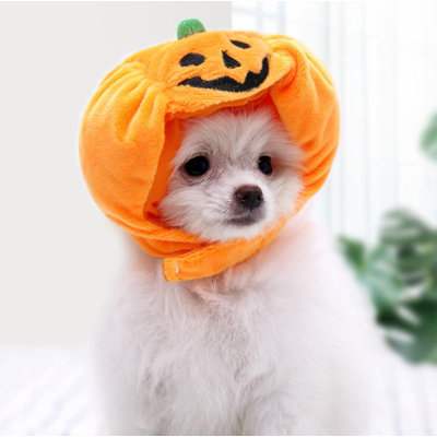 Déguisement de chien citrouille d'Halloween 7,9 x 6,3 x 2 po pour chien moyen