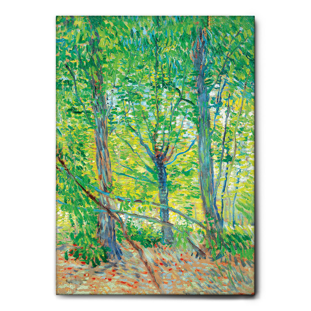 Kunstdruck Trees von Vincent Van Gogh