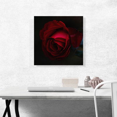 " Rose Red Flower "