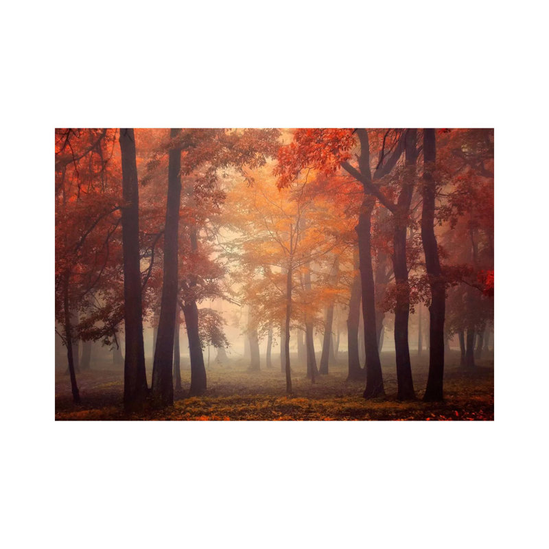 Feel 1 Piece Wrapped Canvas Wall Art, 30.48cm H x 45.72cm W x 1.91cm D