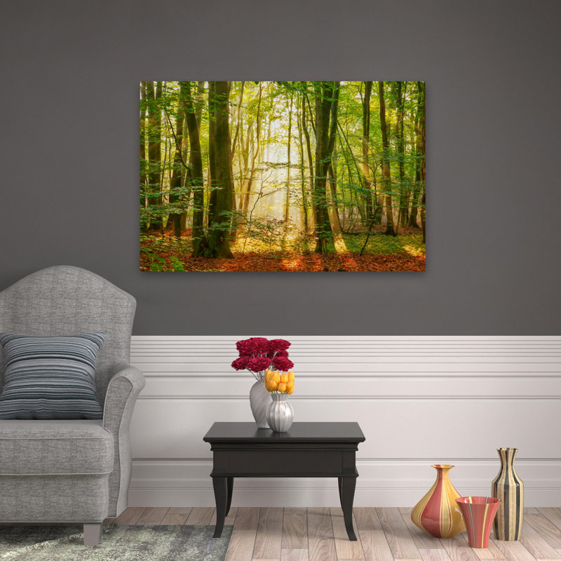 Power Beam - Paysages, photographie, arbres, art, H 32 po x l 48 po
