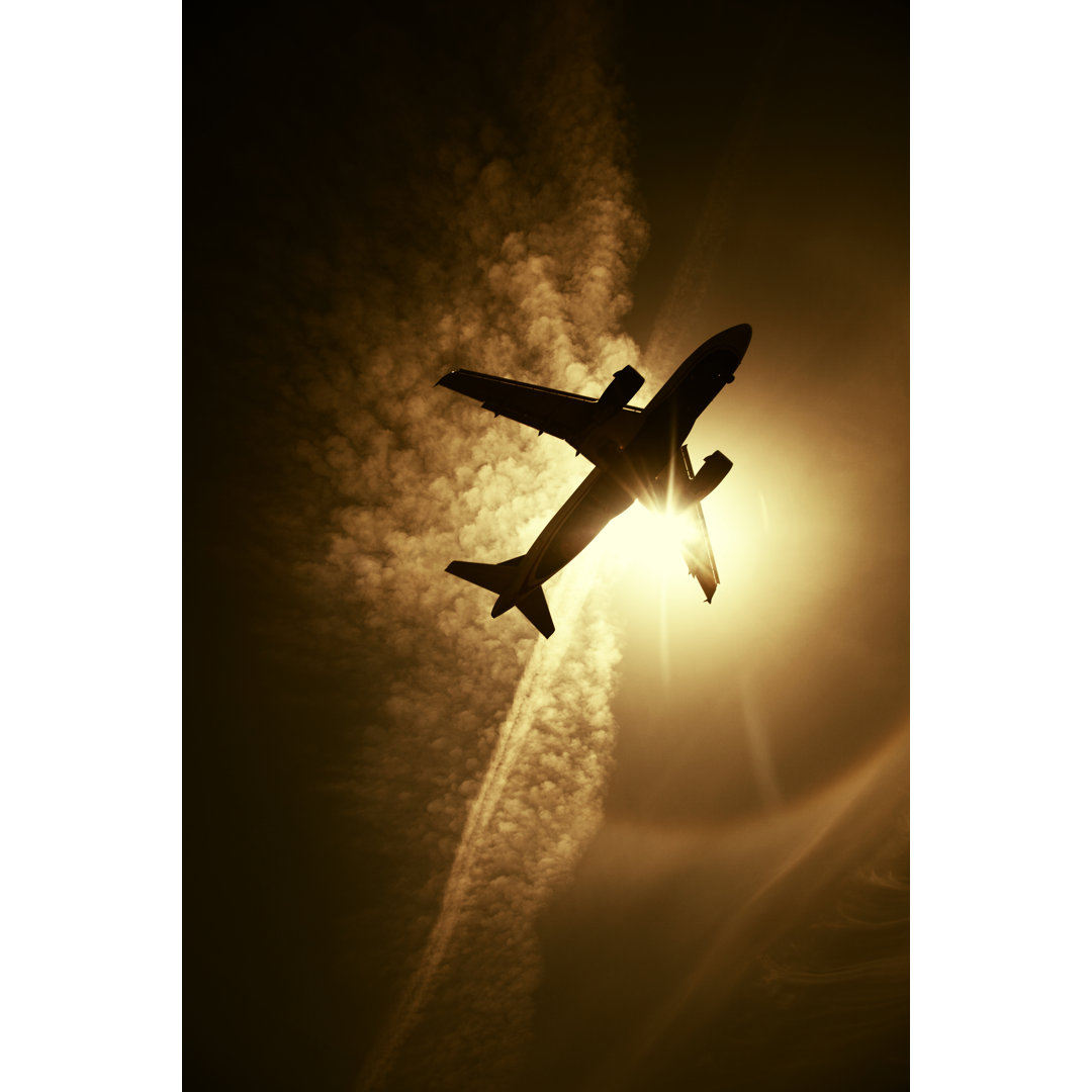 Silhouette Of Airplane Flying von Dan_Prat - Leinwand Kunstdrucke