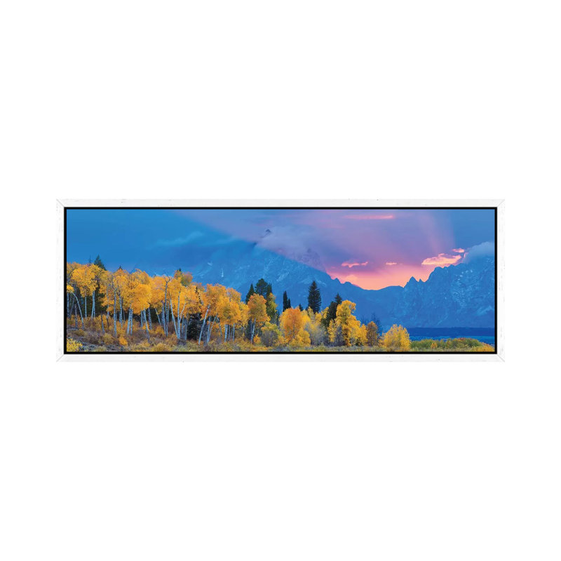 Aspen Tree Forest In Autumn At Sunset And Teton Range, Grand Teton National Park, Wyoming, USA - Panoramic Print on Canvas