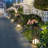 Solar Flower Stand Light-120796554