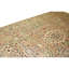 Hand Knotted Wool Area Rug in Beige And Ivory