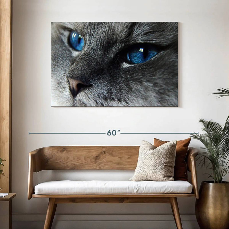 Brampt Cat Blue Eyes, 30" H x 45" W