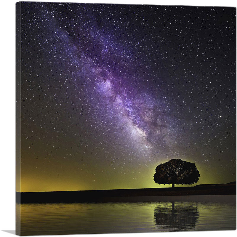 " Milky Way Galaxy And Tree ", 36" H x 36" W x 0.75" D