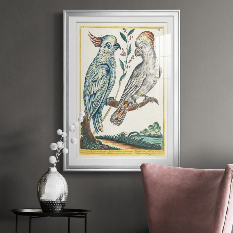 Oiseaux pastel I - reproduction de cadre photo, Argent, H 42,5 po x l 30,5 po x P 1 po