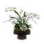 White Faux Orchids Center Piece in Wood Bowl