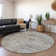 Premium Machine Washable Alliah AMF94 Ash Rug