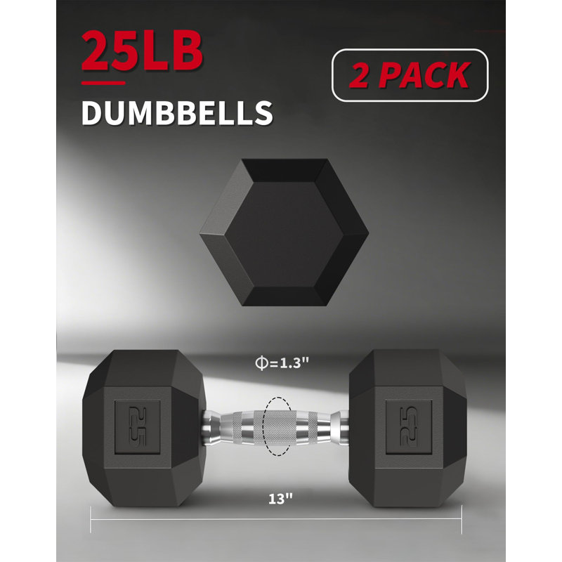 Ensemble de 2 haltères 25 LB