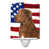 Retriever à poil frisé sélectionné