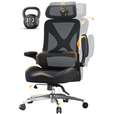 Mesh Ergonomic Office Chair with 3D Headrest