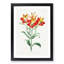 Red Peruvian Lily Flowers - Picture Frame Painting Print-55597999-55598002