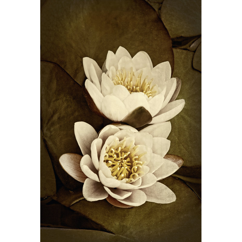 Lily Pad Duo I by Rachel Perry - Wrapped Canvas Print, 30cm H x 20cm W