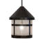 Fulton 1 - Light Pendant