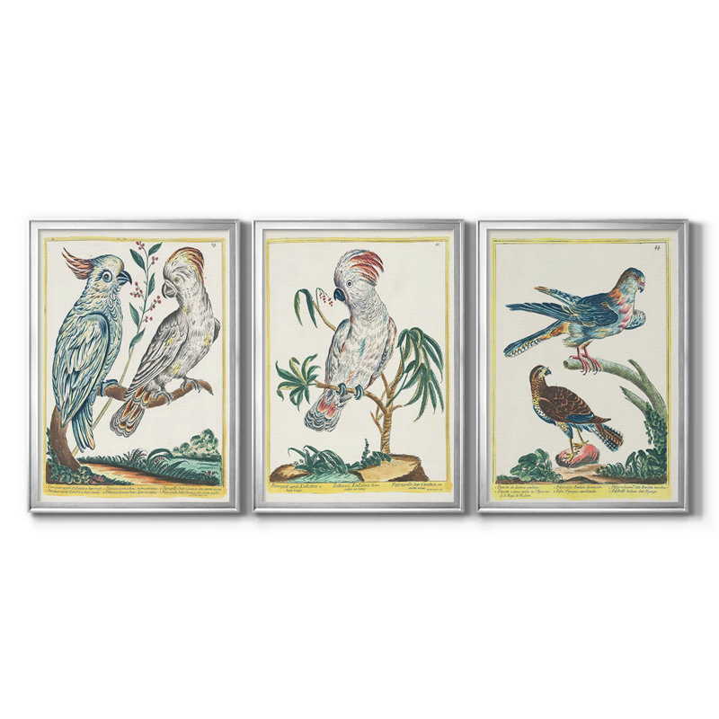 «Pastel Birds I» - Toile tendue avec châssis sur mesure - 3 pièces, H 19 po x l 27 po, Argent argent