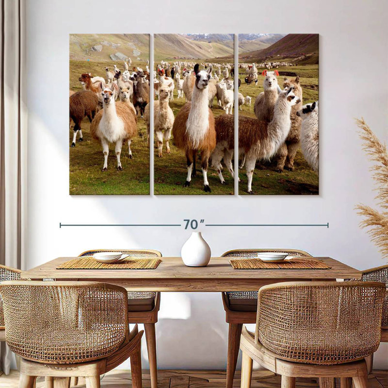 Brampt Llamas And Alpacas, 28" H x 45" W