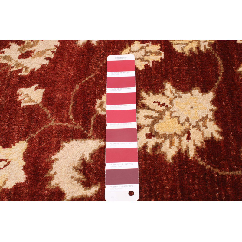 Tapis unique en laine noué à la main 4 pi 9 po x 6 pi 5 po nouvel âge Peshawar